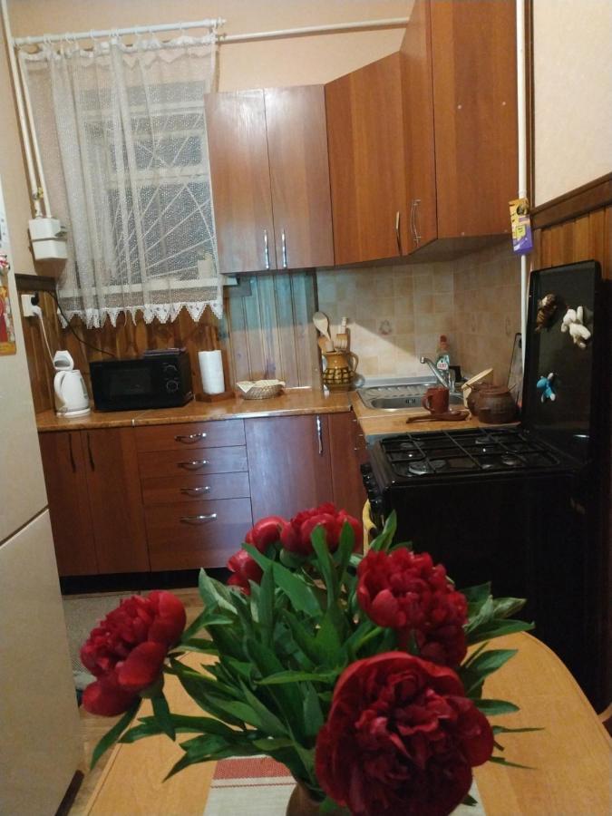 Apartment In The Center Of Old Town Кам'янець-Подільский Екстер'єр фото